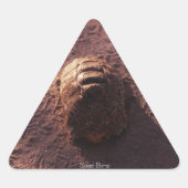 Snelheidsbom Sticker (Voorkant)