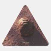 Snelheidsbom Sticker (Voorkant)