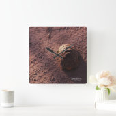 Snelheidsbom Vierkante Klok (Huis)