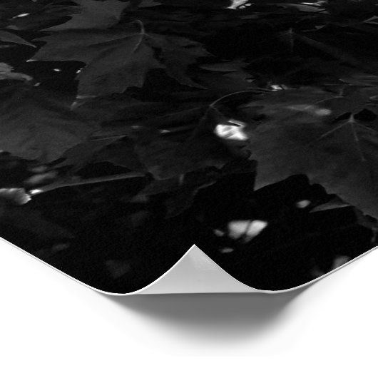 Snelheidscamera Poster (Hoek)