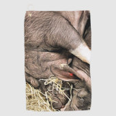 SNELHEIDSVARKENS GOLFHANDDOEK (Voorkant)