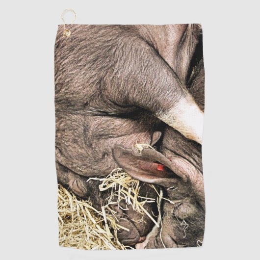 SNELHEIDSVARKENS GOLFHANDDOEK (Voorkant)