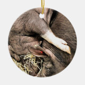 SNELHEIDSVARKENS KERAMISCH ORNAMENT (Voorkant)