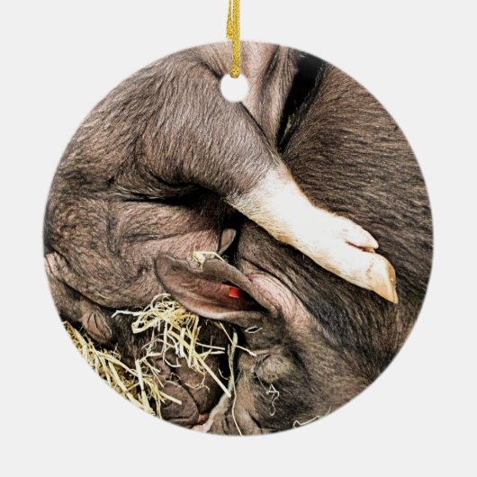 SNELHEIDSVARKENS KERAMISCH ORNAMENT (Achterkant)