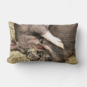 SNELHEIDSVARKENS KUSSEN