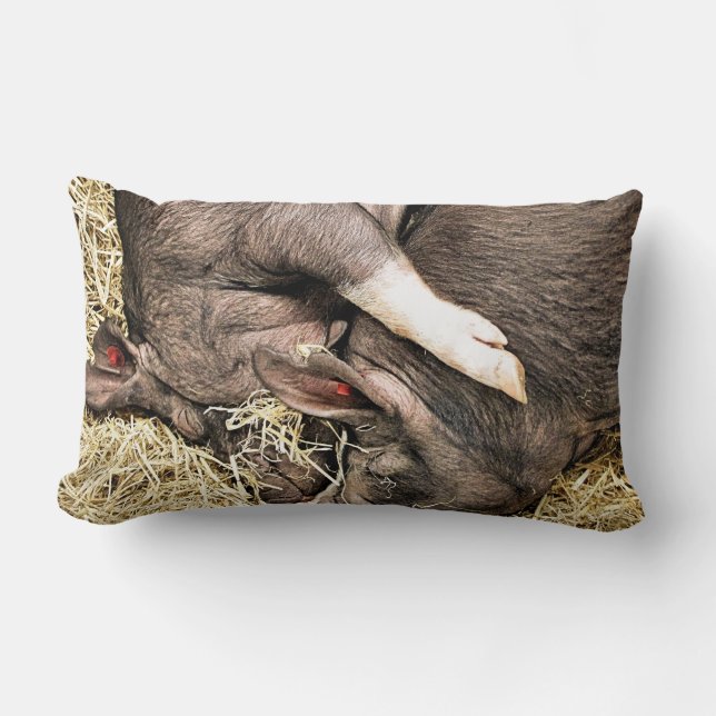 SNELHEIDSVARKENS KUSSEN (Voorkant)