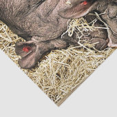 SNELHEIDSVARKENS TISSUEPAPIER (Detail)