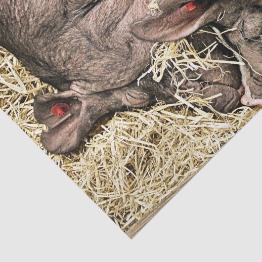 SNELHEIDSVARKENS TISSUEPAPIER (Detail)