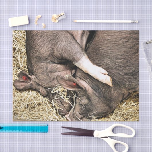 SNELHEIDSVARKENS TISSUEPAPIER (Craft)