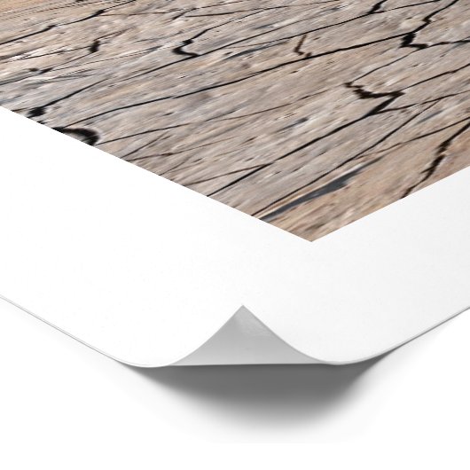 SNELLE AFDRUKKEN POSTER (Hoek)