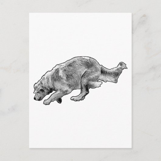 Snelle groet in fijne stippen briefkaart (Voorkant)