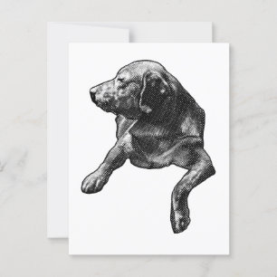 Snelle groet met fijne stippen briefkaart