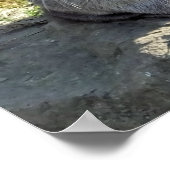 SNELLE OTTER POSTER (Hoek)