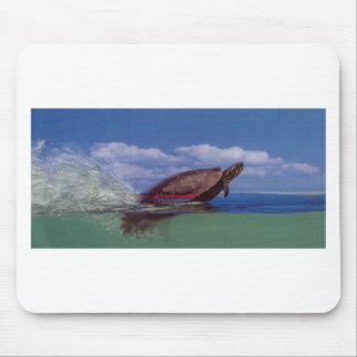 snelle schildpad muismat