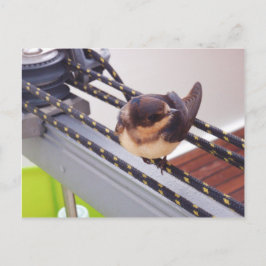 Snelle trek per jacht briefkaart