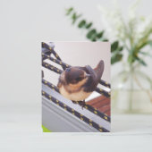 Snelle trek per jacht briefkaart (Staand voorkant)