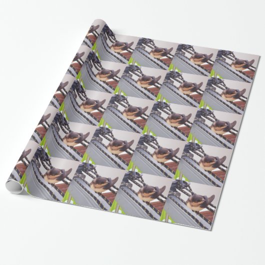 Snelle trek per jacht cadeaupapier (Uitgerold)