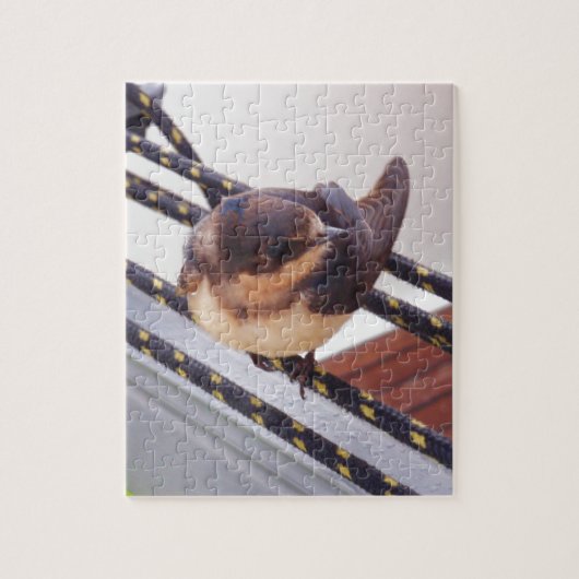 Snelle trek per jacht legpuzzel (Verticaal)