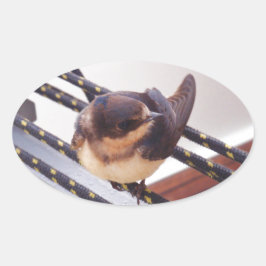 Snelle trek per jacht ovale sticker