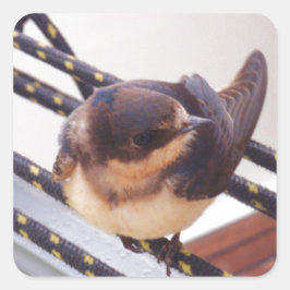 Snelle trek per jacht vierkante sticker
