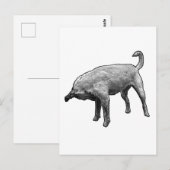 Snelle verzending, korte notitie briefkaart (Voorkant / Achterkant)