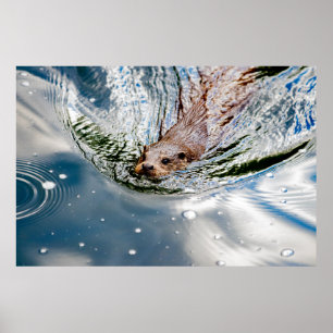 SNELLE ZEEVERZEGELING POSTER