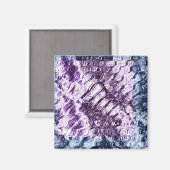 Snelle zilver magneet (Voorkant / Achterkant)