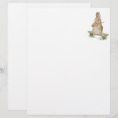 SNELLER DE  KNOP MET KARROT, BUNNY NOTES (Voorkant / Achterkant)