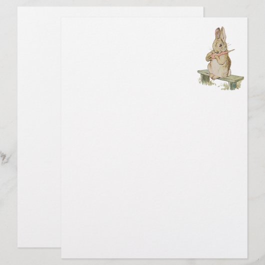 SNELLER DE  KNOP MET KARROT, BUNNY NOTES (Voorkant / Achterkant)