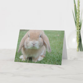 Snellere bedankt voor je kaart