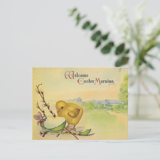 Snellere  Briefkaart (Staand voorkant)