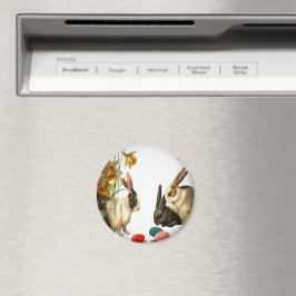 Snellere  Bunnies die Snoep-eieren bekijken, ZSSG Magneet