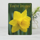 Snellere Daffodil-uitnodigingen Pasen-Kaarten aanp Kaart (Staand voorkant)