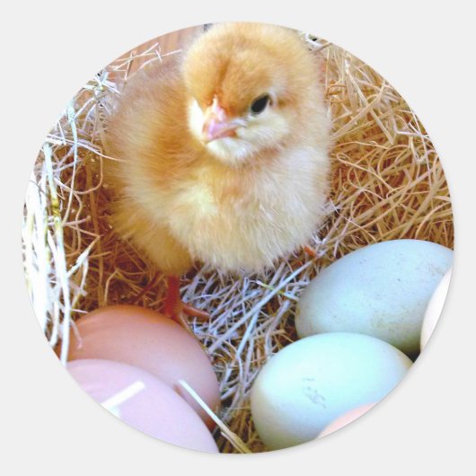 Snellere gelijksoortige kaart ronde sticker (Voorkant)