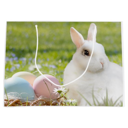 Snellere grote cadeautas (Voorkant)