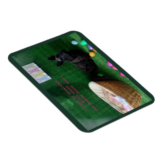 Snellere kennis magneet (Rechterzijde)