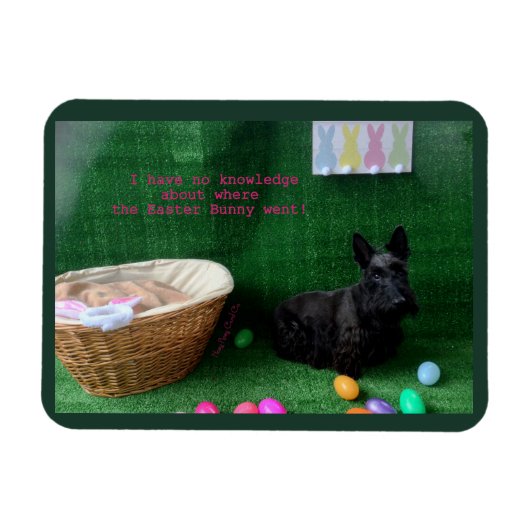 Snellere kennis magneet (Horizontaal)