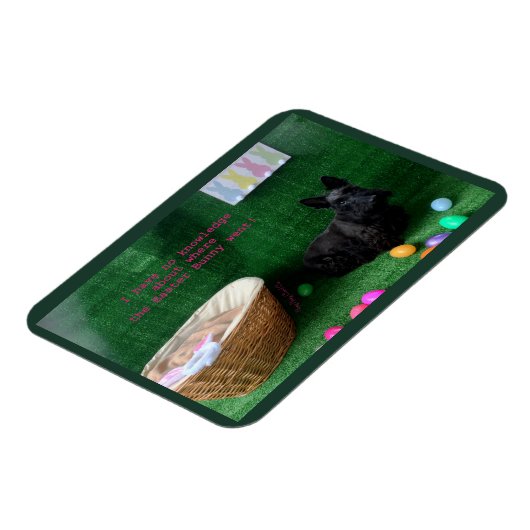 Snellere kennis magneet (Linkerzijde)