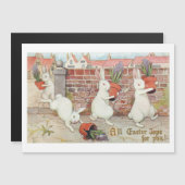 Snellere paasbunnies voor het afkoelen van gebroke (Voorkant / Achterkant)