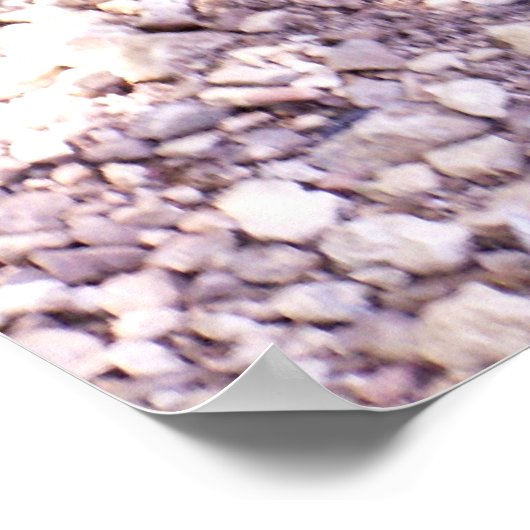 Snellere schildpad 1 poster (Hoek)