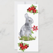 Snellere wensen (Voorkant)