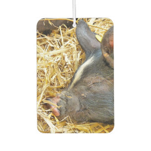 SNELPIG LUCHTVERFRISSER
