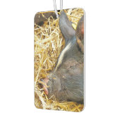 SNELPIG LUCHTVERFRISSER (Links)