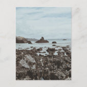 Snelweg 1 Rocky Beach Briefkaart (Voorkant)