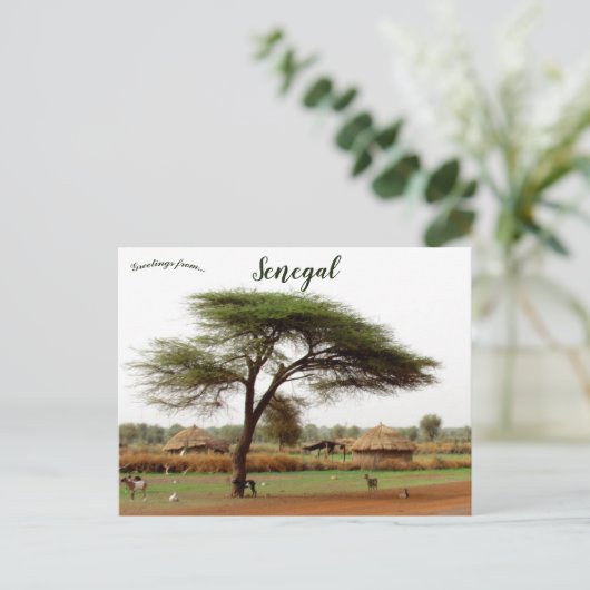 Snelweg tussen Ouro Sogui en Orkadiéré Senegal Briefkaart (Staand voorkant)
