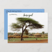 Snelweg tussen Ouro Sogui en Orkadiéré Senegal Briefkaart (Voorkant / Achterkant)