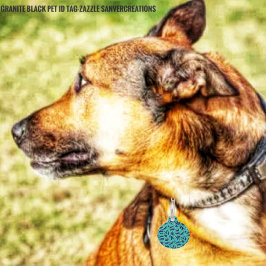 Snelwegen Huisdierpenning