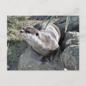 SNETTER BRIEFKAART (Voorkant)