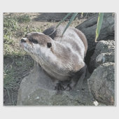 SNETTER CADEAUPAPIER (Vlak)