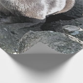 SNETTER CADEAUPAPIER (Hoek)